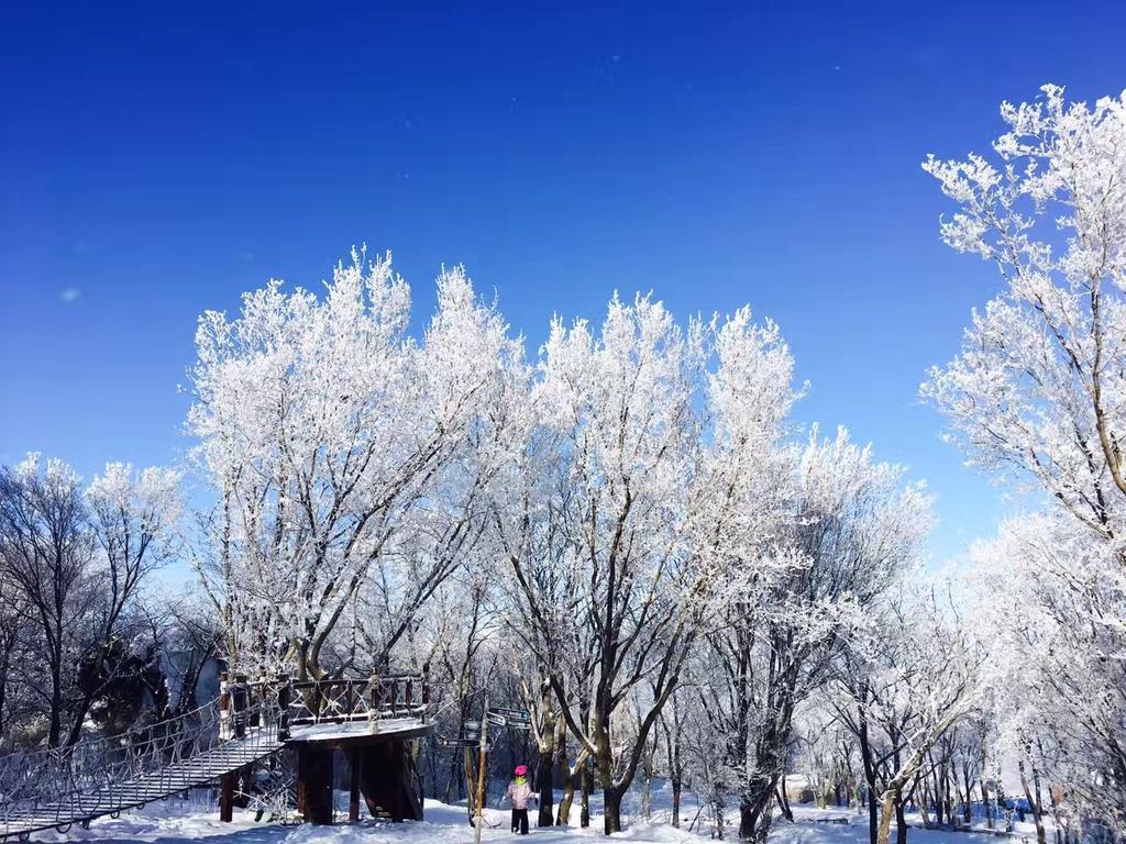 Songhua Lake Qingshan Snow View Apartment Jilin Buitenkant foto